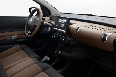 C4 Cactus